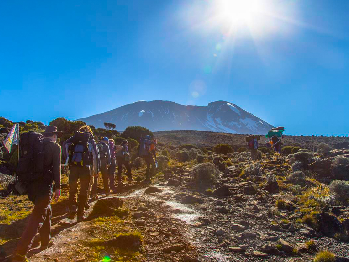 4 Days Lemosho Route Kilimanjaro Trekking